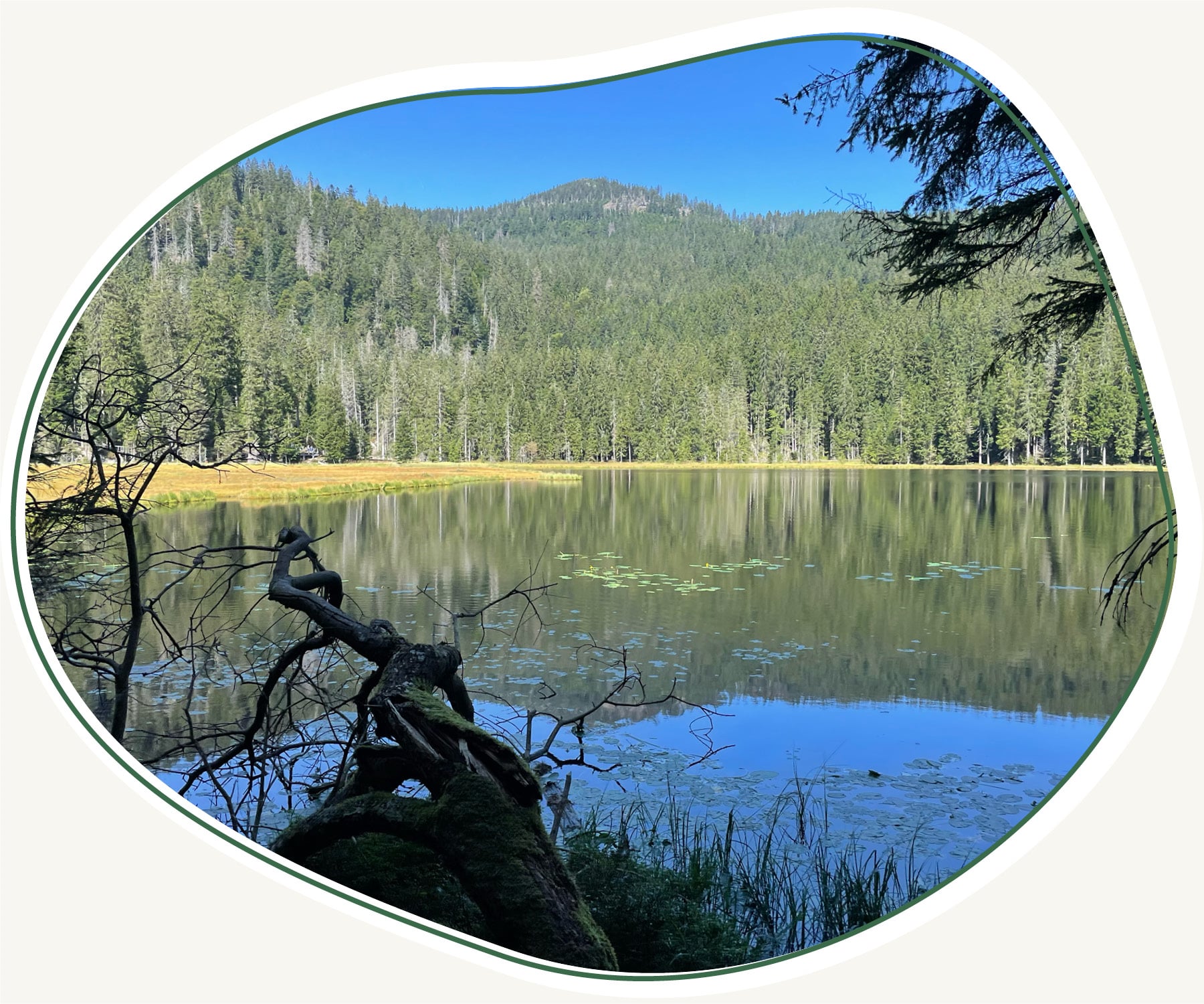 Bilder Beitraege Master 1800px10