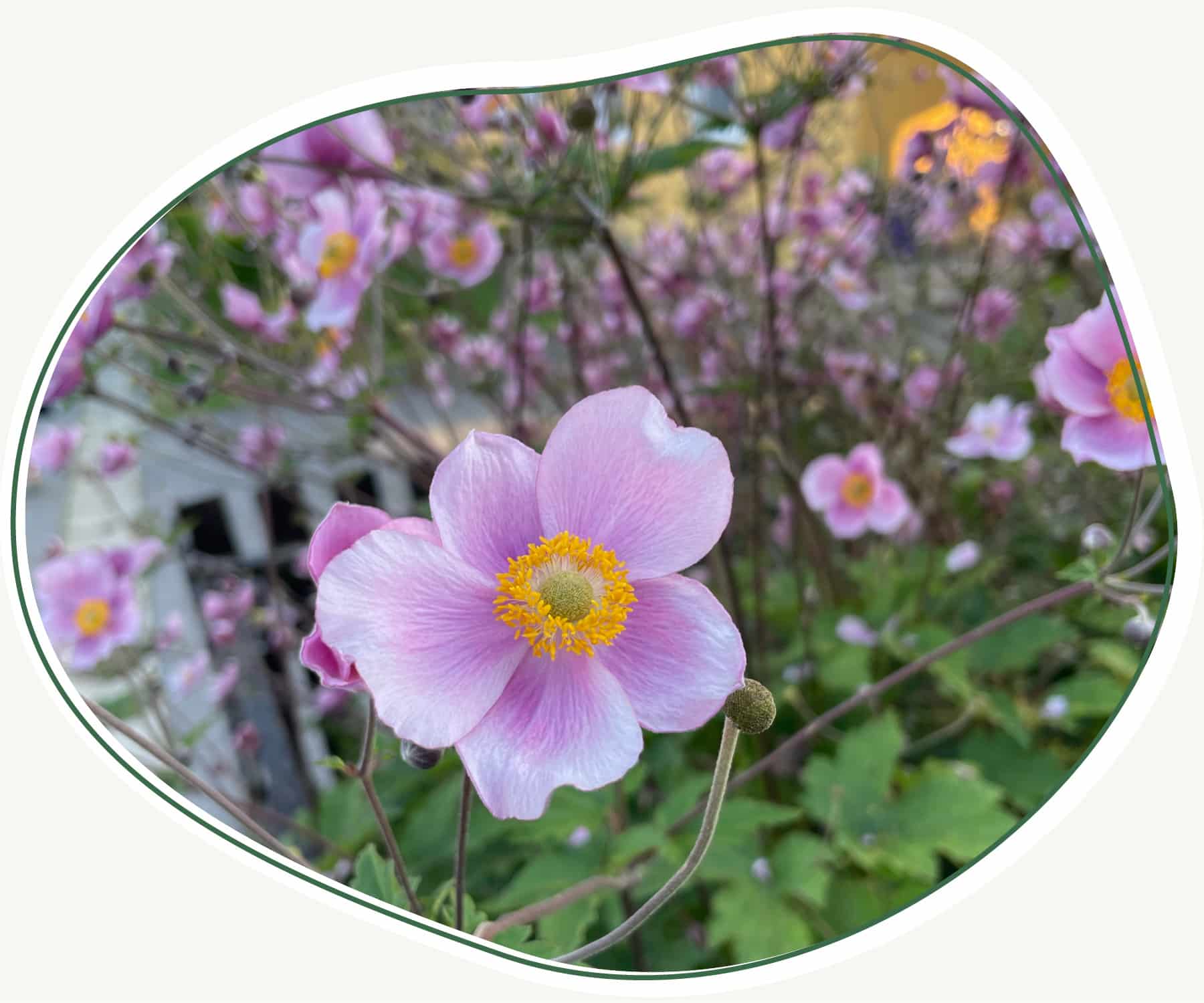 Bilder Beitraege Master 1800px12