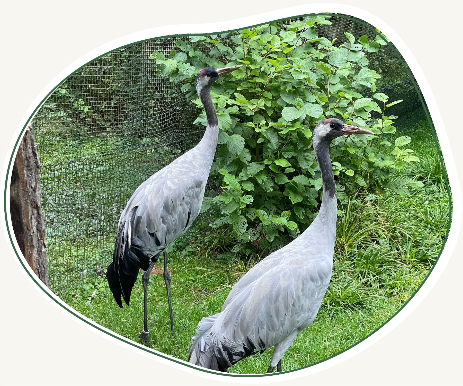 Bilder Beitraege Master 1800px18