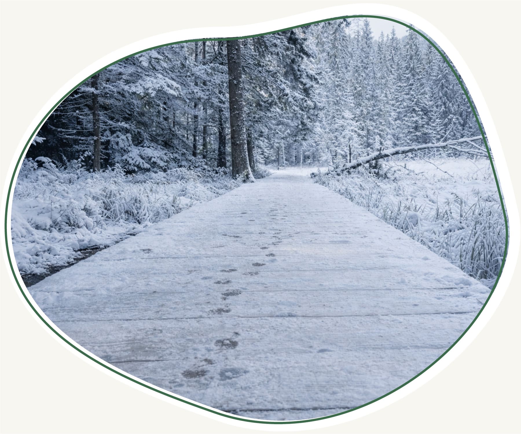 Bilder Beitraege Master 1800px26