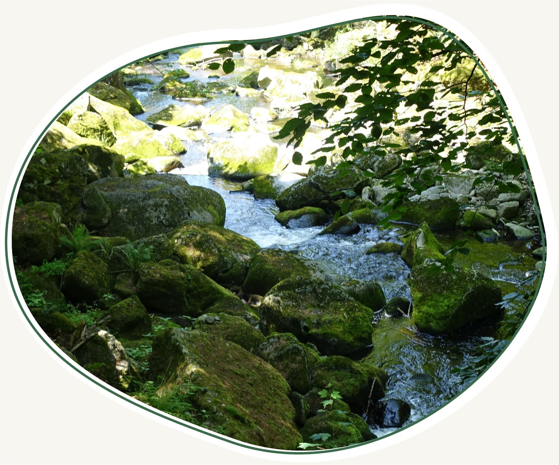 Bilder Beitraege Master 1800px51