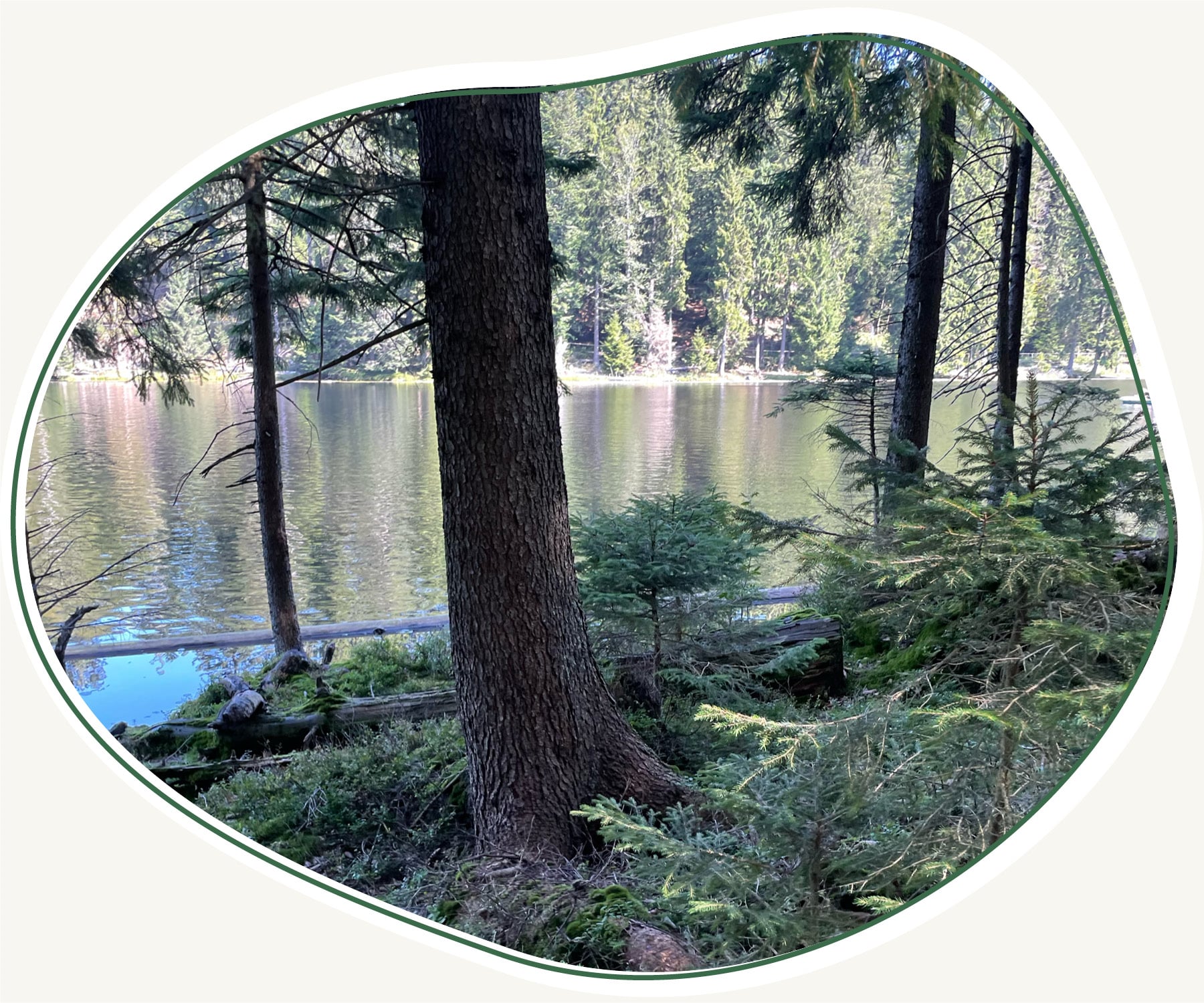 Bilder Beitraege Master 1800px8