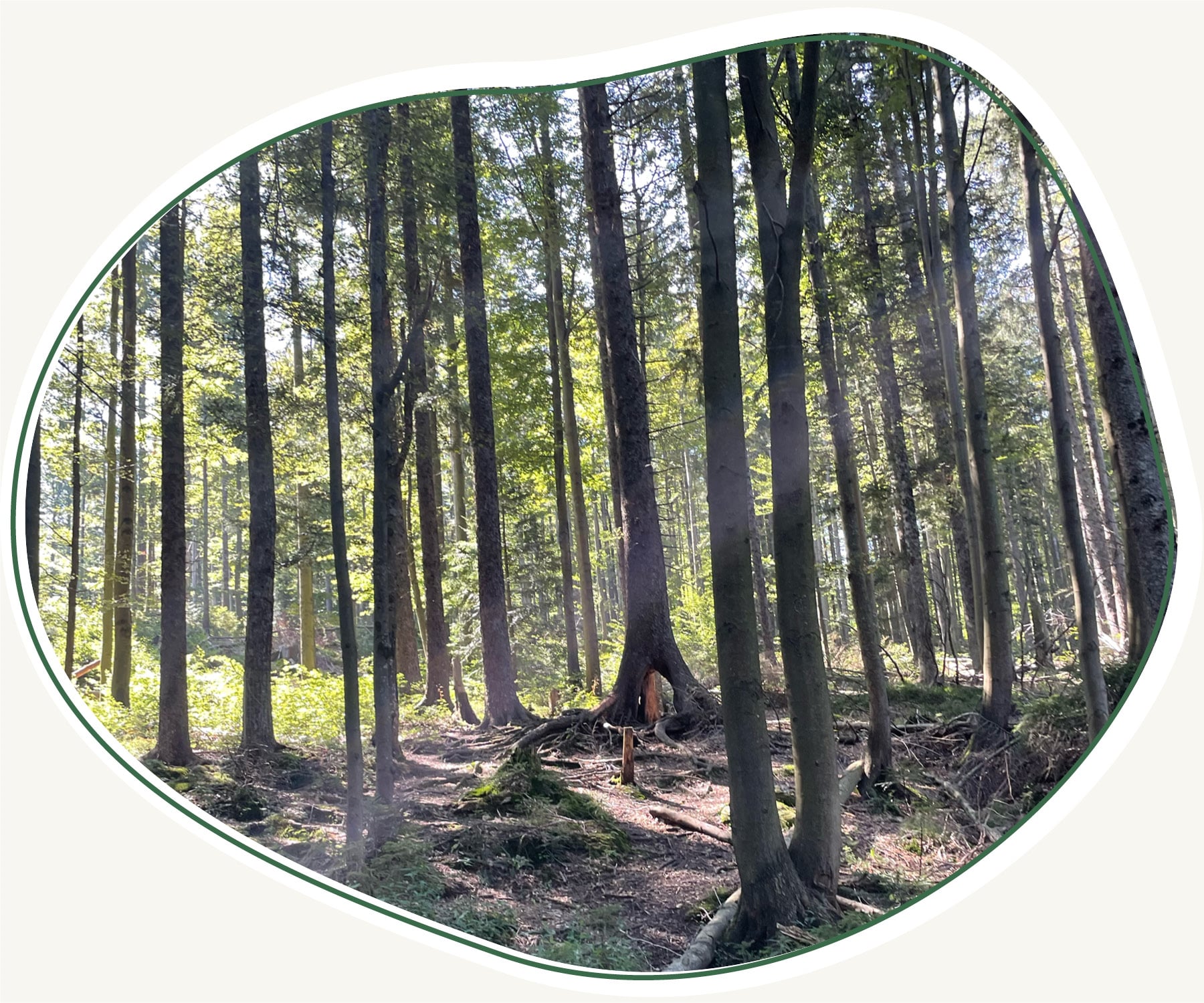 Bilder Beitraege Master 1800px9