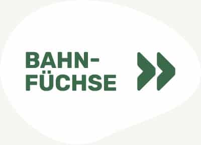 Button Bahnfuechse 400px