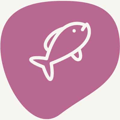 Icons Haus Forellenhof 400x400px