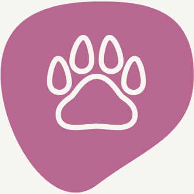 Icons Haus Wolfsteiner Huette 400x400px